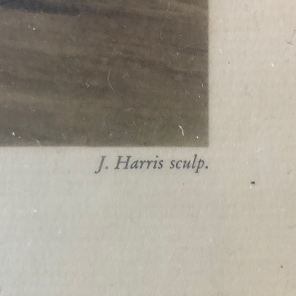 Vintage Picture:Hyde Park Corner. J.Harris
20” x 16” - Picture 4 of 8